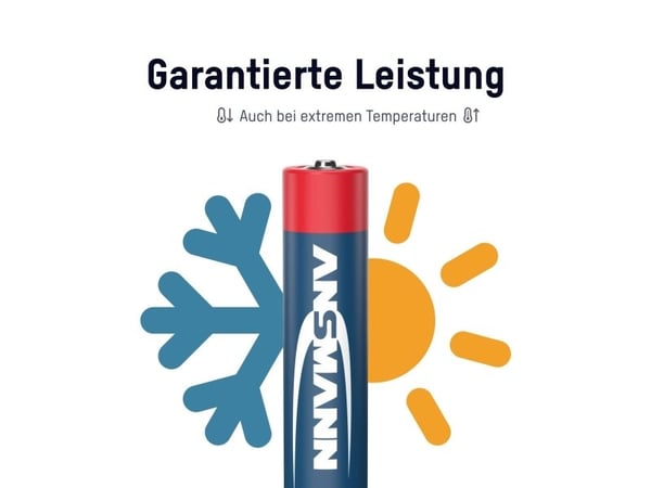 Ansmann paristosarja Micro, Mignon, 40 St. (1520-0003)
