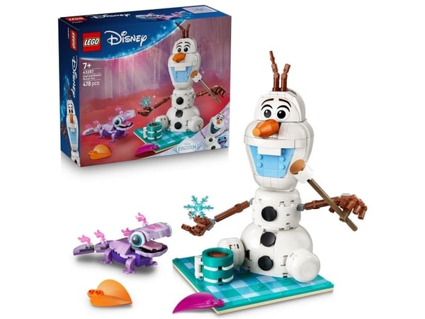 LEGO Disney Princess 43287 Olofs och Brunis picknickskoj