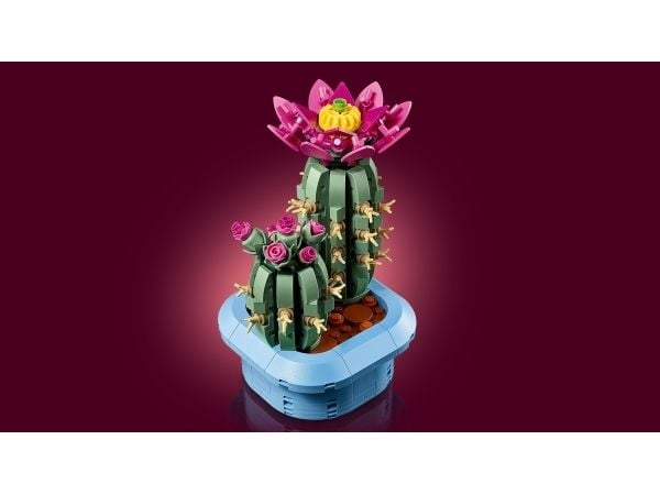 LEGO Botanicals 11509 Blommande kaktus