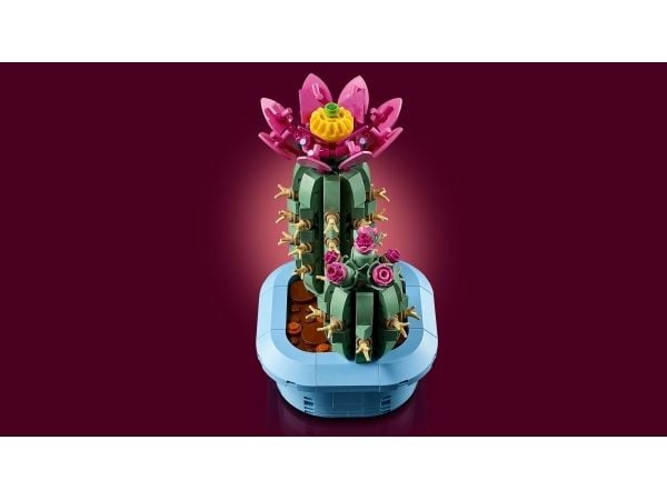 LEGO Botanicals 11509 Blommande kaktus