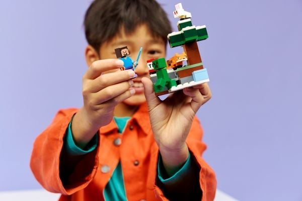 LEGO Minecraft 21583 Steven seikkailu Taiga-metsässä