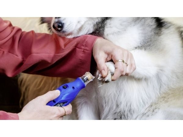 Dremel F0137350PA