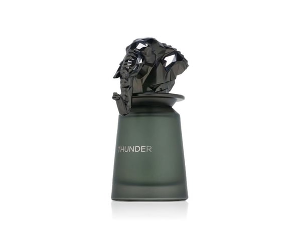 French Avenue Thunder Eau de Parfum 100 ml (herr)