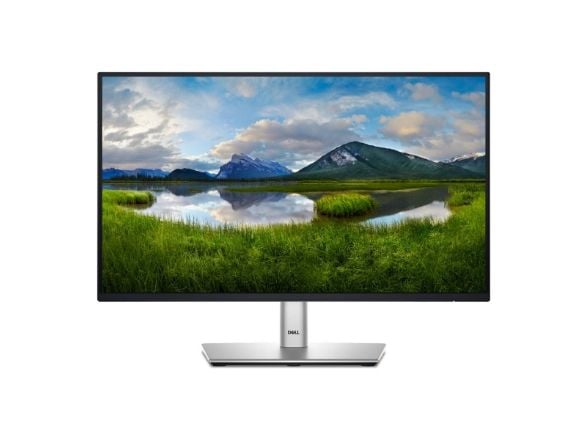 P Series P2225H Computer