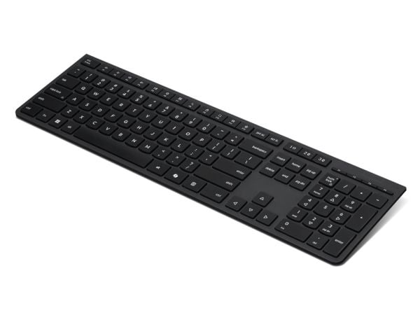 Lenovo Professional - Tastatur - ladbar - full size - trådløs - 2.4 GHz, Bluetooth - USA med eurosymbol - grå - brun boks