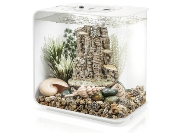 OASE biOrb 86372 biOrb Decor Set Forest Rhythym akvariedekoration