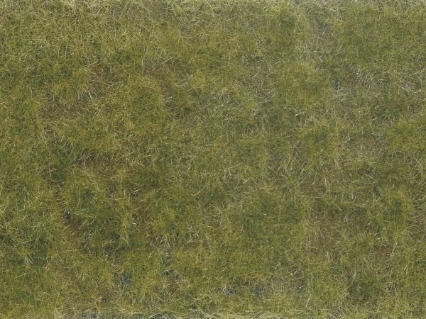 NOCH 07254, Brun, Grön