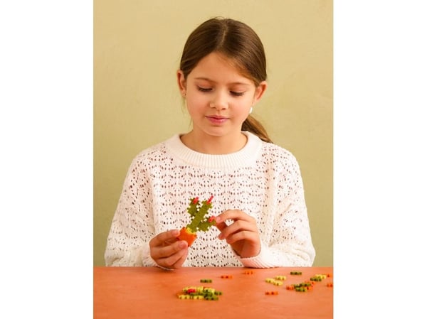 Plus-Plus Plant Packs - Cactus