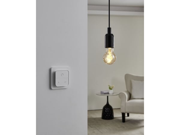 EGLO CONNECT-Z E27 LED A60-pakke med 2 stk
