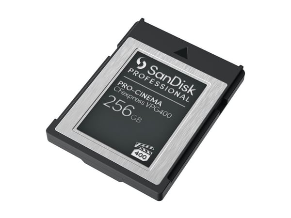 SanDisk Professional - Flashminnekort - 256 GB - CFexpress Type B - svart