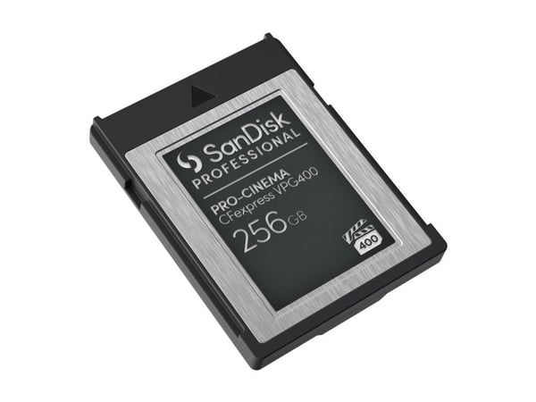SanDisk Professional - Flash-minneskort - 256 GB - CFexpress, typ B - svart