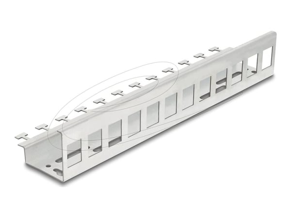 Delock - Keystone-adapter - metall - DIN-skinnemonterbar, veggmonterbar - 12 porter