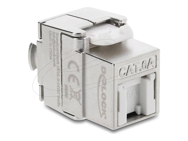 Delock - Modulinnlegg - toolfree - CAT 6a - skjermet - RJ-45, LSA - sølv/hvit