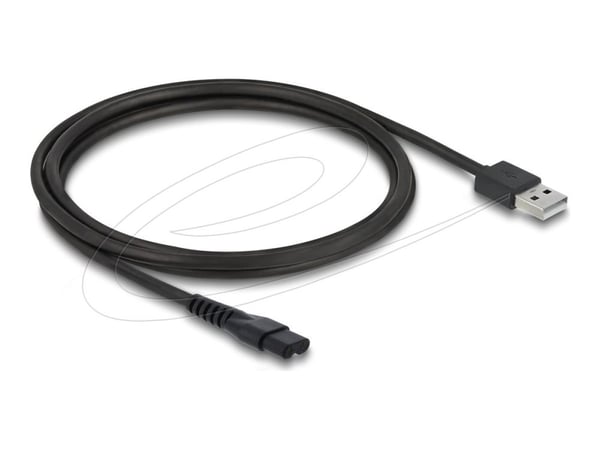 Delock - Strömkabel - USB (hane) till 2 stift (hane) - 5 V - 1 A - 1.2 m - svart