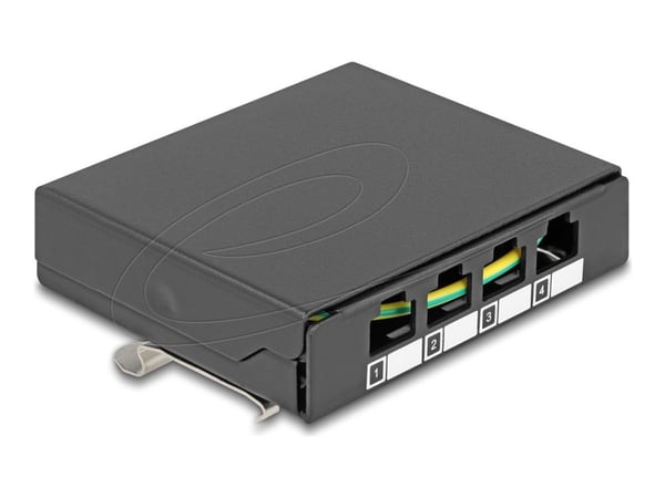 Delock - Pluggbord (blankt) - for keystone RJ-modules - DIN-skinnemonterbar, overflatemonterbar, veggmonterbar - svart - 4 porter