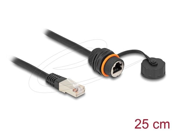 Delock - Nettverksforlengelseskabel - RJ-45 (hann) til RJ-45 (hunn) vernehette - 25 cm - 6 mm - STP - CAT 6a - M20 thread, dust and waterproof (IP6...