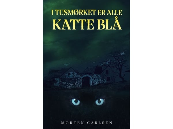 Hämärässä kaikki kissat ovat sinisiä | Morten Carlsen | Kieli: Tanska