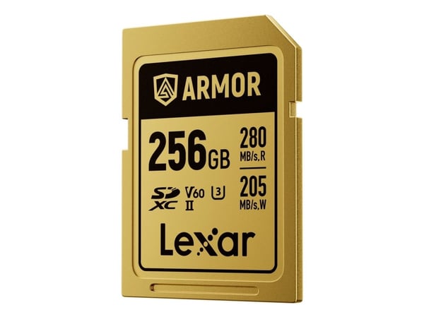 Lexar muistikortti SDXC 256GB Armor Gold UHS-II U3