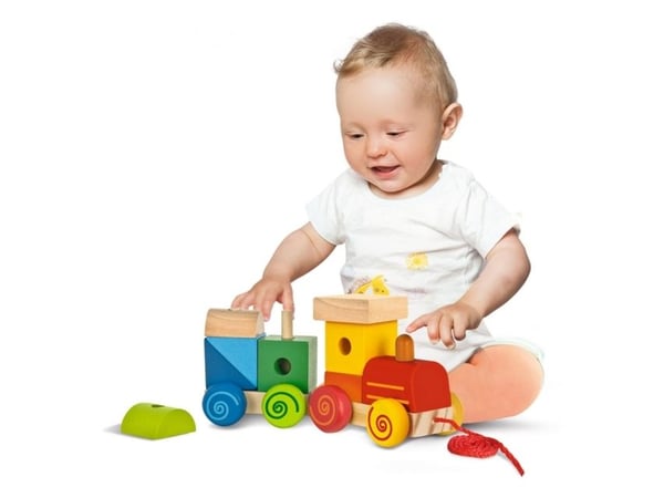 Eichhorn Train, 1 år, Tre, Flerfarget
