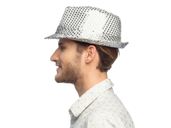 Boland 8712026012920, Hatt til kostyme, Voksen, Alle kjønn, Polyetylentereftalat (PET), Polyester, Sølv, 220 mm