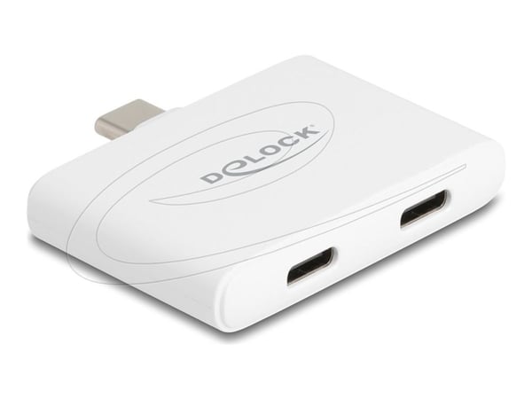 Delock USB Type-C-adapter till USB-C 10 Gbps video 4K 60 Hz + PD 92 (61088)
