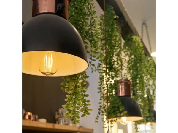 Shelly Vintage ST64, Smartpære, Wi-Fi, Gjennomsiktig, 802.11b, 802.11g, Wi-Fi 4 (802.11n), E27, E27