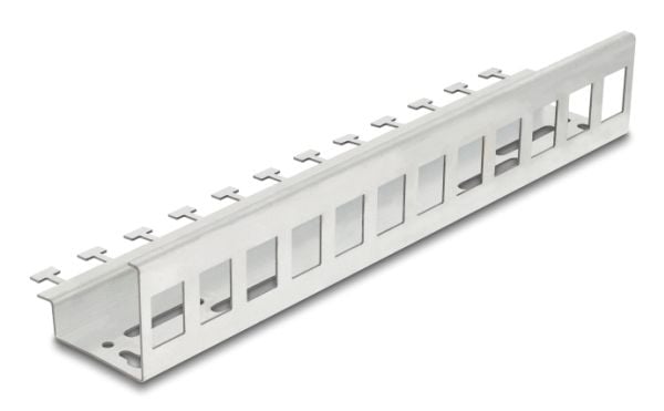 Delock - Keystone-adapter - metall - DIN-skinnemonterbar, veggmonterbar - 12 porter