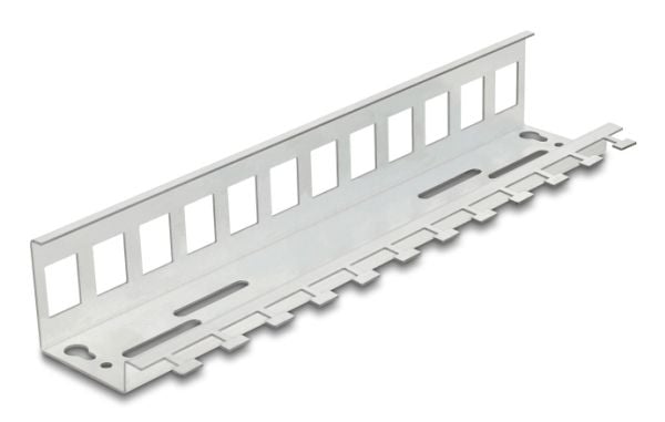 Delock - Keystone-adapter - metall - DIN-skinnemonterbar, veggmonterbar - 12 porter