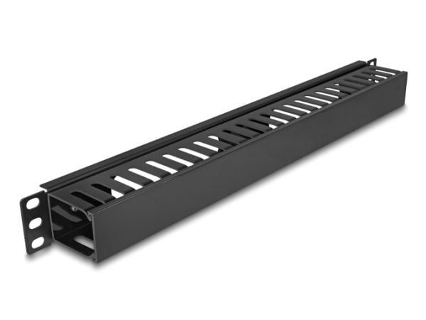 Delock - Rack kabelhåndteringsrutepanel - svart - 1U - 19"