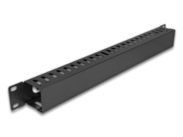 Delock - Rack kabelhåndteringsrutepanel - svart - 1U - 19"