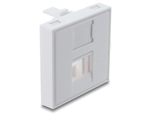Delock - Easy 45 - kjernemodulholder - with dust cap, 45 x 45 mm - 1 modul - hvit