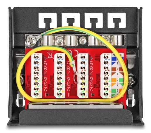 Delock - Koblingspanel - mini - DIN-skinnemonterbar, veggmonterbar, skrivebord - CAT 6a - skjermet - RJ-45 X 4 - svart