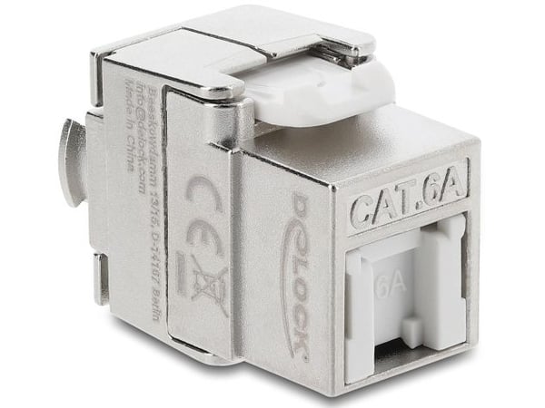 Delock - Modulinnlegg - toolfree - CAT 6a - skjermet - RJ-45, LSA - sølv/hvit