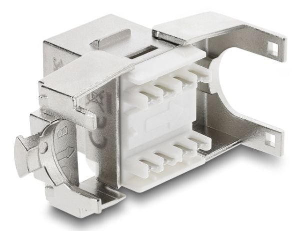 Delock - Modulinnlegg - toolfree - CAT 6a - skjermet - RJ-45, LSA - sølv/hvit