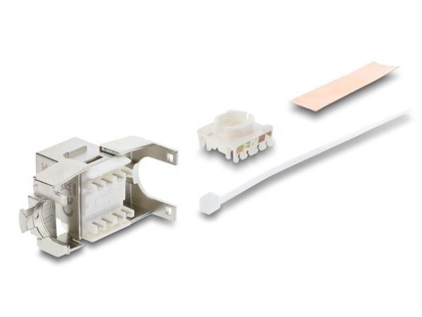 Delock - Modulinnlegg - toolfree - CAT 6a - skjermet - RJ-45, LSA - sølv/hvit