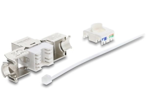 DeLOCK 90715, Tasainen, Hopea, Valkoinen, RJ-45, LSA, Naaras, Cat8.1