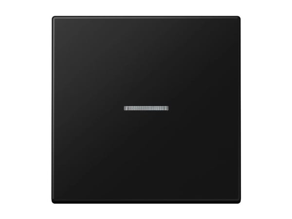 JUNG BTLS17101SWM, Knappar, Svart, Duroplast, 2402 - 2480 MHz, 30 m, Vägg
