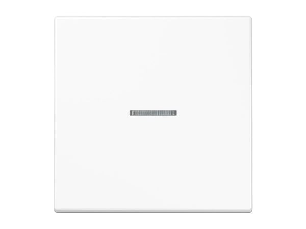 JUNG BTLS17101WW, Painikkeet, Valkoinen, Duroplast, 2402 - 2480 MHz, 30 m, Seinä