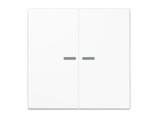JUNG BTLS17102WW, Painikkeet, Valkoinen, Duroplast, 2402 - 2480 MHz, 30 m, Seinä