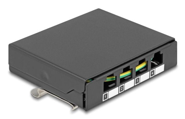 Delock - Pluggbord (blankt) - for keystone RJ-modules - DIN-skinnemonterbar, overflatemonterbar, veggmonterbar - svart - 4 porter