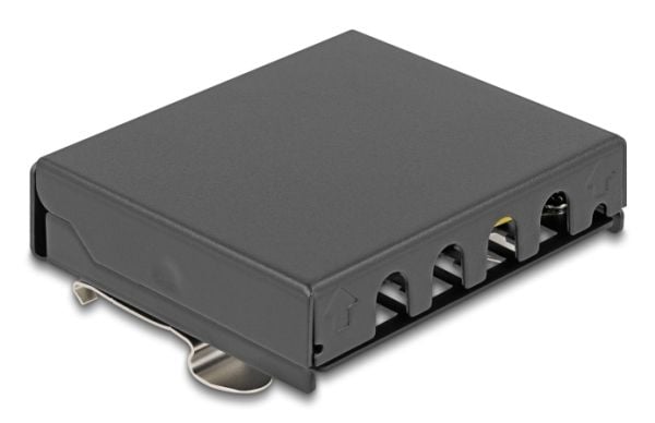 Delock - Pluggbord (blankt) - for keystone RJ-modules - DIN-skinnemonterbar, overflatemonterbar, veggmonterbar - svart - 4 porter