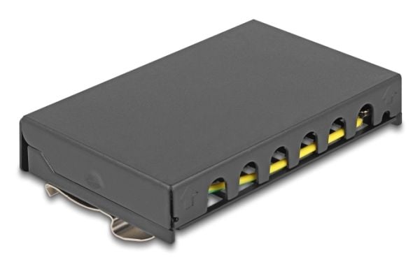 Delock - Pluggbord (blankt) - for keystone RJ-modules - DIN-skinnemonterbar, overflatemonterbar, veggmonterbar - svart - 6 porter
