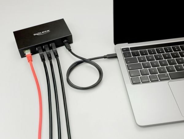 Delock - Hub - RJ45, 1.5 kV isolation - 3 x USB 3.2 Gen 1 + 1 x USB-C 3.2 Gen 1 (strømforsyning) + 1 x 1 Gigabit Ethernet - stasjonær, overflatemon...