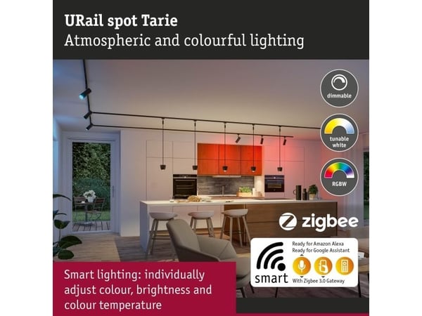 Paulmann Tarie RGB, Pinta-asennettavat spottivalot, Ei vaihdettavissa oleva hehkulamppu, LED, 4,5 W, 6500 K, musta