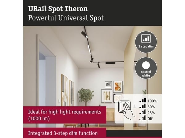 Paulmann Theron, Overflateegnet, Ikke-utskiftbare pærer, LED, 11 W, 4000 K, Svart