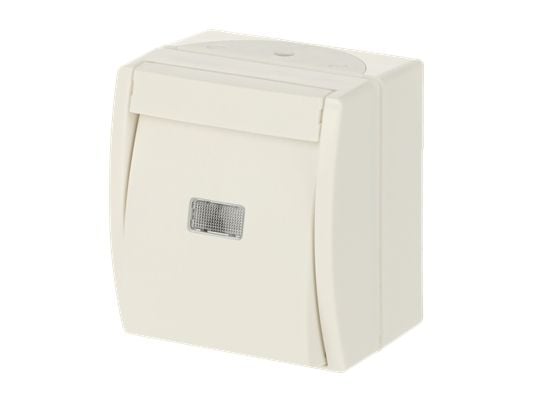 ABB 2621 W-54-206, Hallintaelementti, Valkoinen, Termoplastinen, 1P+N, IP44, 74 mm