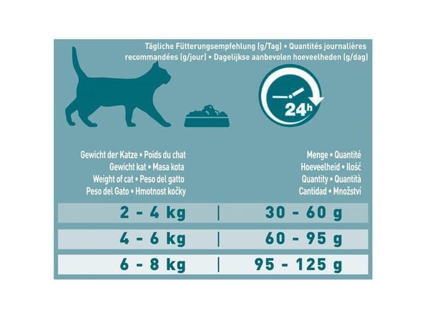PURINA ONE Aikuisten kissan kuivamuonaa, kanaa ja viljaa 9.75kg