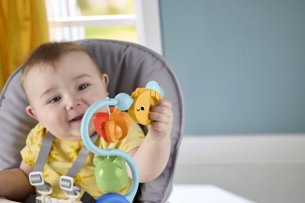 Fisher-Price Balanced Beginnings Suction Cup Toy
