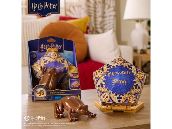 Harry Potter Chocolate Frog