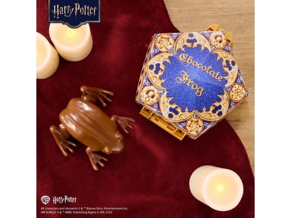 Harry Potter Chocolate Frog
